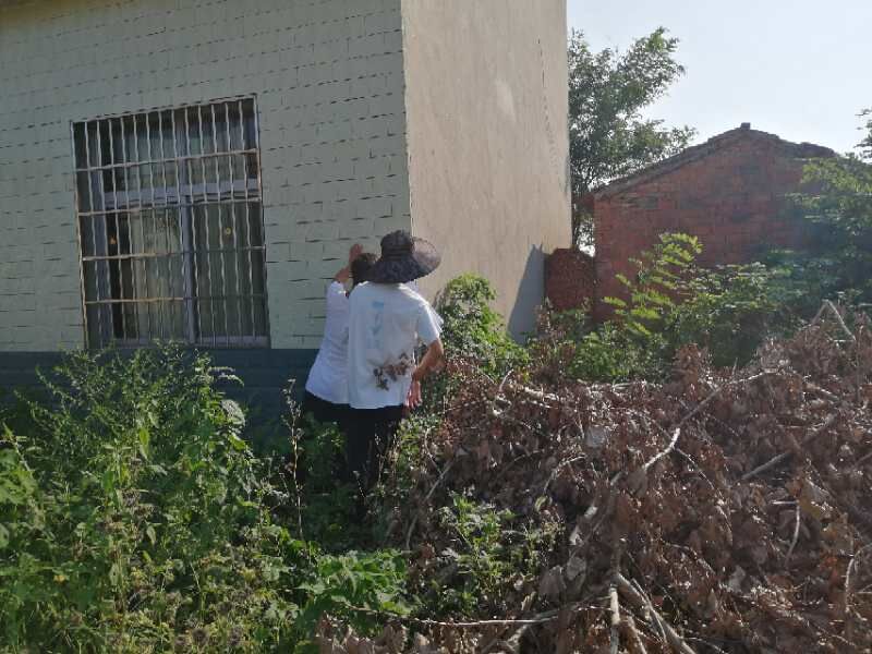 1598231065426413.jpg 1598231065426413.jpg