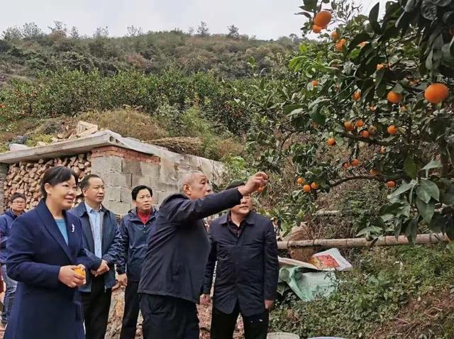 1607993986495648.jpg 1607655547(1).jpg