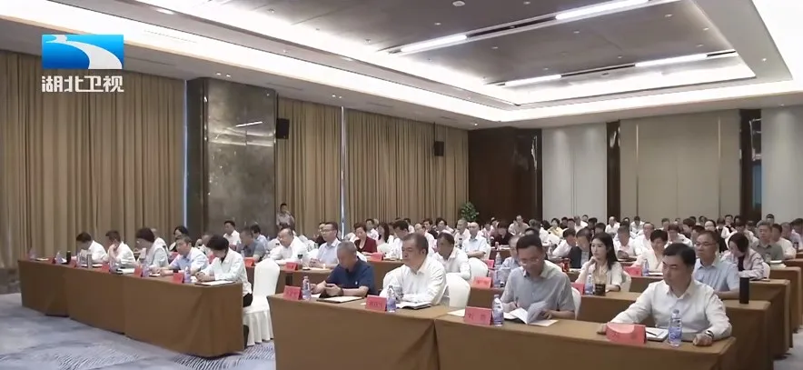 1717495027410156.jpg 1717495023142.jpg