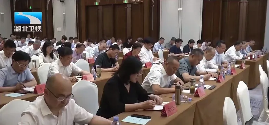 1717495049413421.jpg 1717495035084.jpg