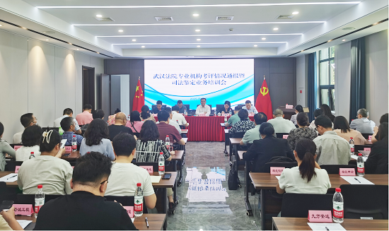 1749454426705993.png 1748598582619.png