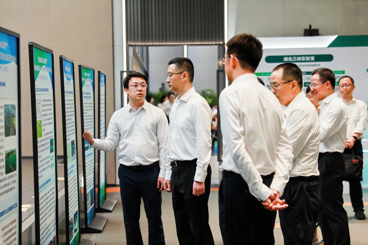 1751419648218597.jpg 1751013535647.jpg